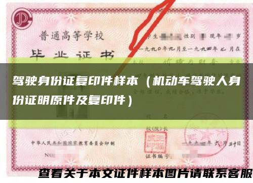 驾驶身份证复印件样本（机动车驾驶人身份证明原件及复印件）缩略图