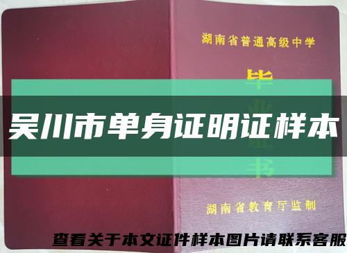 吴川市单身证明证样本缩略图