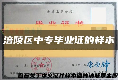 涪陵区中专毕业证的样本缩略图