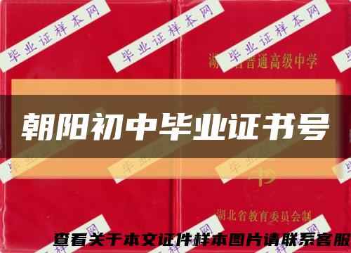 朝阳初中毕业证书号缩略图
