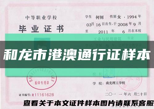 和龙市港澳通行证样本缩略图