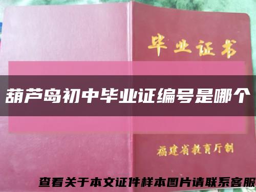 葫芦岛初中毕业证编号是哪个缩略图
