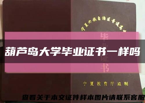 葫芦岛大学毕业证书一样吗缩略图