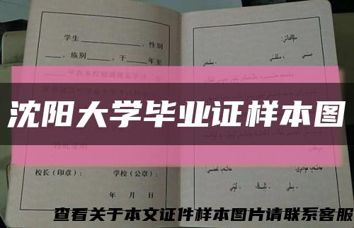 沈阳大学毕业证样本图缩略图