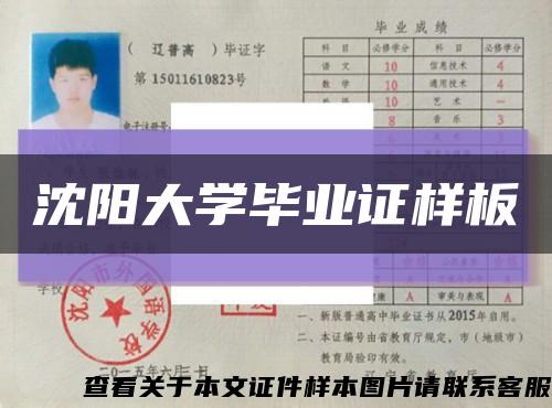 沈阳大学毕业证样板缩略图