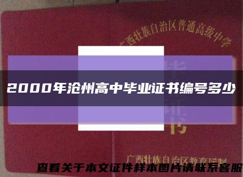 2000年沧州高中毕业证书编号多少缩略图