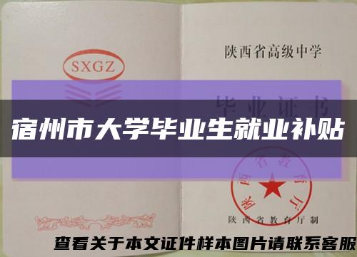 宿州市大学毕业生就业补贴缩略图