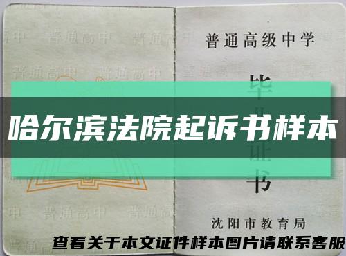 哈尔滨法院起诉书样本缩略图