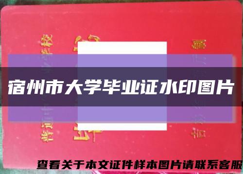 宿州市大学毕业证水印图片缩略图