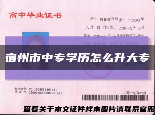 宿州市中专学历怎么升大专缩略图