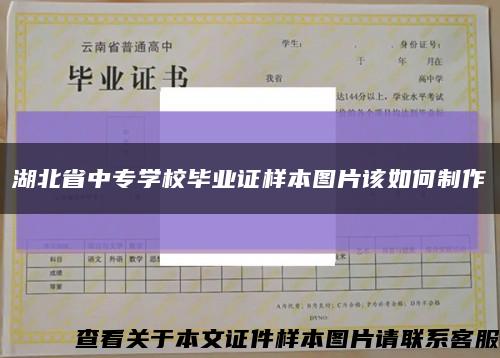湖北省中专学校毕业证样本图片该如何制作缩略图