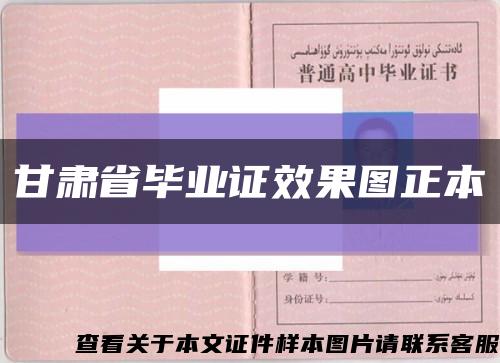甘肃省毕业证效果图正本缩略图