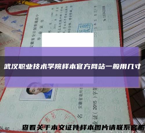 武汉职业技术学院样本官方网站一般用几寸缩略图