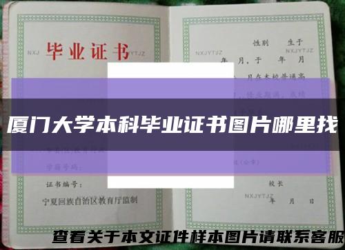 厦门大学本科毕业证书图片哪里找缩略图