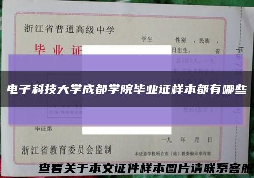 电子科技大学成都学院毕业证样本都有哪些缩略图