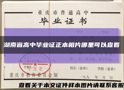 湖南省高中毕业证正本相片哪里可以查看缩略图