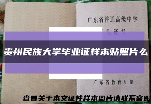 贵州民族大学毕业证样本贴照片么缩略图
