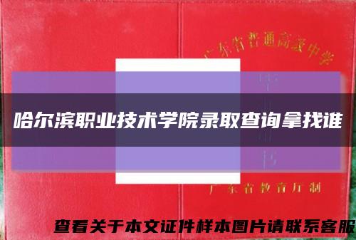 哈尔滨职业技术学院录取查询拿找谁缩略图