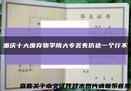 重庆十大废弃物学院大专丢失仿造一个行不缩略图