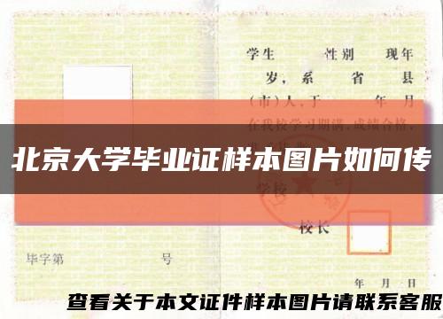 北京大学毕业证样本图片如何传缩略图