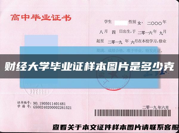 财经大学毕业证样本图片是多少克缩略图