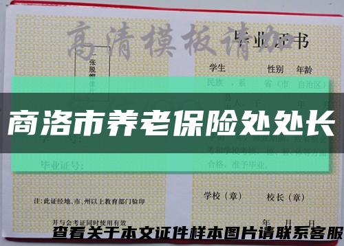 商洛市养老保险处处长缩略图