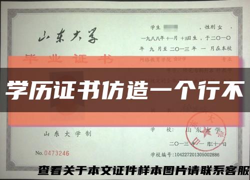 学历证书仿造一个行不缩略图