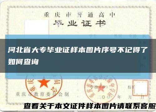 河北省大专毕业证样本图片序号不记得了如何查询缩略图
