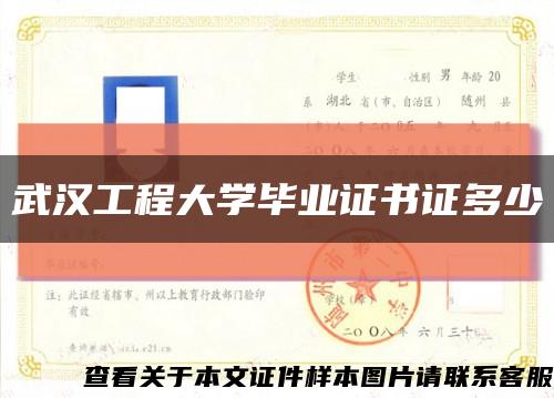 武汉工程大学毕业证书证多少缩略图