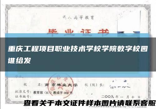 重庆工程项目职业技术学校学院数字校园谁给发缩略图