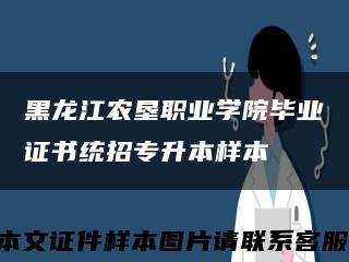 黑龙江农垦职业学院毕业证书统招专升本样本缩略图