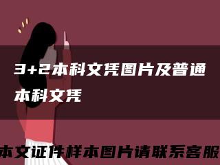 3+2本科文凭图片及普通本科文凭缩略图