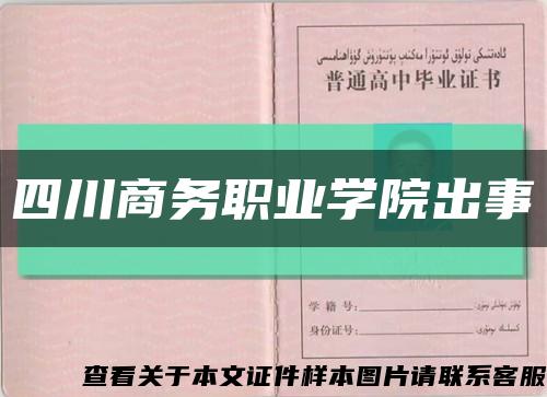 四川商务职业学院出事缩略图