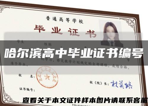 哈尔滨高中毕业证书编号缩略图