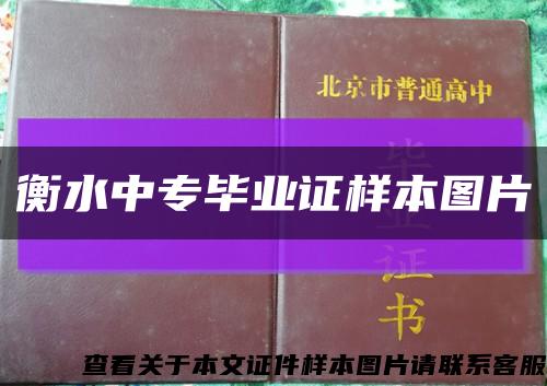 衡水中专毕业证样本图片缩略图