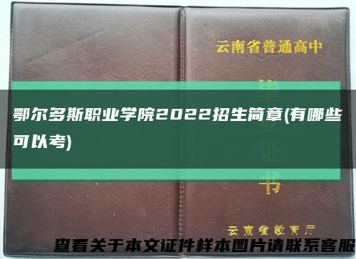 鄂尔多斯职业学院2022招生简章(有哪些可以考)缩略图