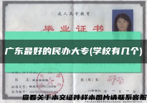 广东最好的民办大专(学校有几个)缩略图