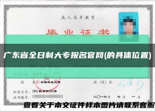 广东省全日制大专报名官网(的具体位置)缩略图