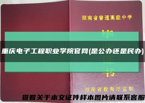 重庆电子工程职业学院官网(是公办还是民办)缩略图