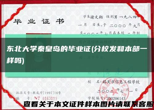 东北大学秦皇岛的毕业证(分校发和本部一样吗)缩略图