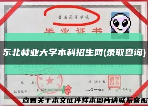 东北林业大学本科招生网(录取查询)缩略图
