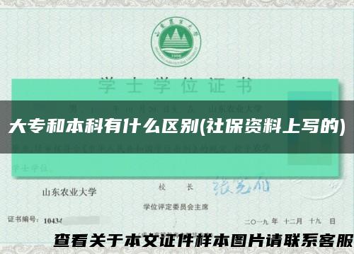 大专和本科有什么区别(社保资料上写的)缩略图