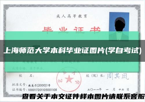 上海师范大学本科毕业证图片(学自考试)缩略图