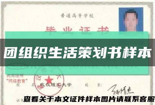 团组织生活策划书样本缩略图