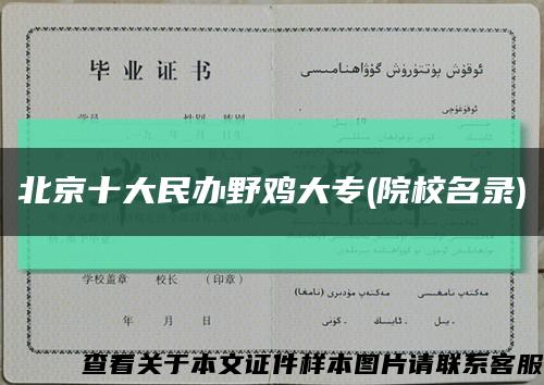 北京十大民办野鸡大专(院校名录)缩略图
