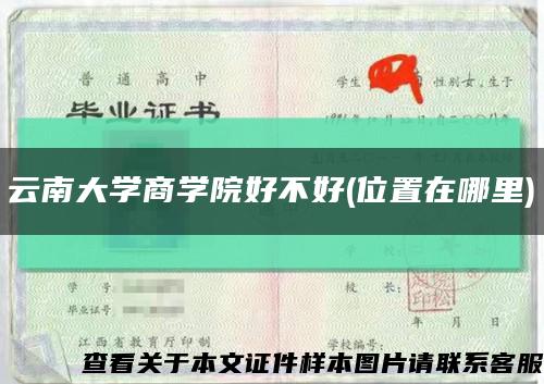 云南大学商学院好不好(位置在哪里)缩略图