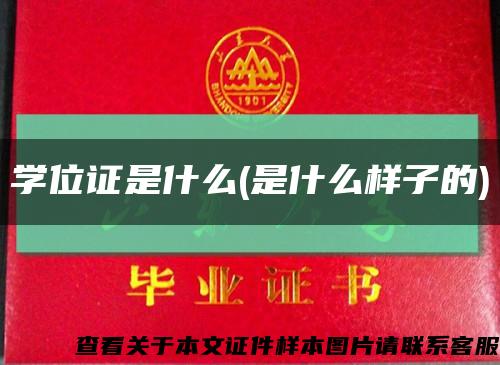 学位证是什么(是什么样子的)缩略图