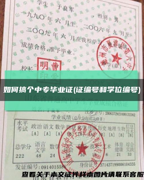 如何搞个中专毕业证(证编号和学位编号)缩略图