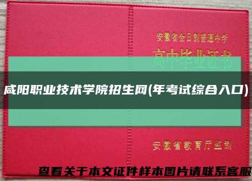 咸阳职业技术学院招生网(年考试综合入口)缩略图
