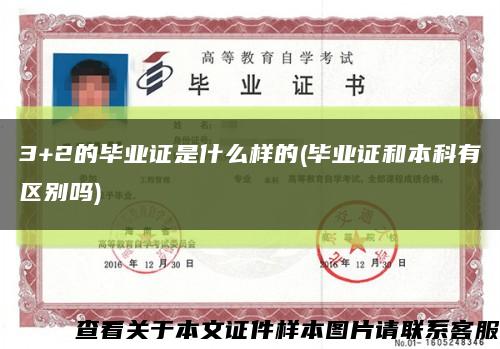 3+2的毕业证是什么样的(毕业证和本科有区别吗)缩略图